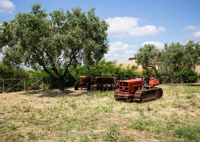 Tenuta Capizucchi