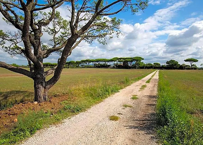 Tenuta Capizucchi