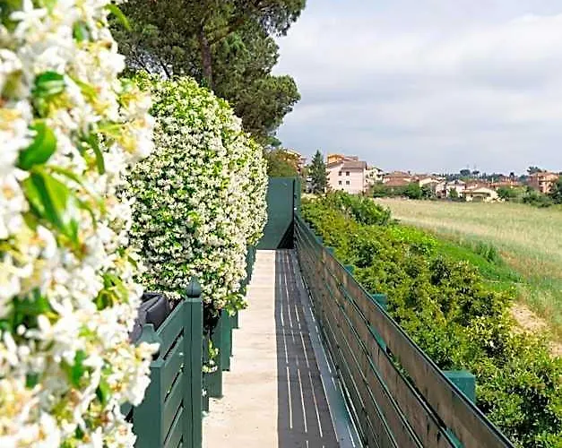 Tenuta Capizucchi